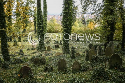  29.10.2017 CIESZYN <br />KIRKUT WPISANY DO REJESTRU ZABYTKOW <br />ZDJECIE ILUSTRACYJNE <br />N/Z MACEWY NA CMENTARZU WSROD JESIENNYCH LISCI<br /> 