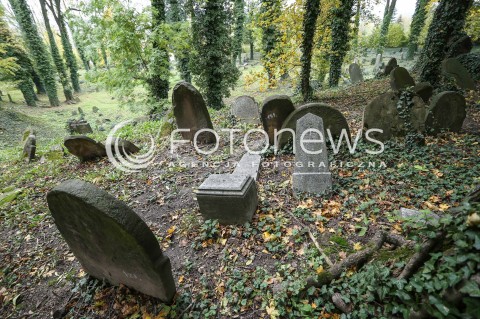  29.10.2017 CIESZYN <br />KIRKUT WPISANY DO REJESTRU ZABYTKOW <br />ZDJECIE ILUSTRACYJNE <br />N/Z MACEWY NA CMENTARZU WSROD JESIENNYCH LISCI<br /> 