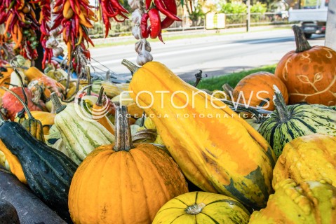  29.10.2017 LESZNOWOLA <br />PRZYDROZNA SPRZEDAZ PLODOW ROLNYCH PRZEZ ROLNIKOW <br />ZDJECIE ILUSTRACYJNE <br />N/Z WYSTAWIONE NA SPRZEDAZ KOLOROWE DYNIE PAPRYKA CZOSNEK I SWOJSKA KAPUSTA<br /> 