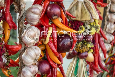  29.10.2017 LESZNOWOLA <br />PRZYDROZNA SPRZEDAZ PLODOW ROLNYCH PRZEZ ROLNIKOW <br />ZDJECIE ILUSTRACYJNE <br />N/Z WYSTAWIONE NA SPRZEDAZ KOLOROWE DYNIE PAPRYKA CZOSNEK I SWOJSKA KAPUSTA<br /> 