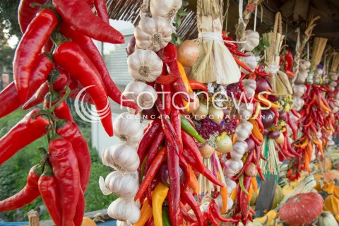  29.10.2017 LESZNOWOLA <br />PRZYDROZNA SPRZEDAZ PLODOW ROLNYCH PRZEZ ROLNIKOW <br />ZDJECIE ILUSTRACYJNE <br />N/Z WYSTAWIONE NA SPRZEDAZ KOLOROWE DYNIE PAPRYKA CZOSNEK I SWOJSKA KAPUSTA<br /> 