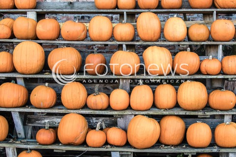  29.10.2017 LESZNOWOLA <br />PRZYDROZNA SPRZEDAZ PLODOW ROLNYCH PRZEZ ROLNIKOW <br />ZDJECIE ILUSTRACYJNE <br />N/Z WYSTAWIONE NA SPRZEDAZ KOLOROWE DYNIE PAPRYKA CZOSNEK I SWOJSKA KAPUSTA<br /> 