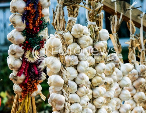  29.10.2017 LESZNOWOLA <br />PRZYDROZNA SPRZEDAZ PLODOW ROLNYCH PRZEZ ROLNIKOW <br />ZDJECIE ILUSTRACYJNE <br />N/Z WYSTAWIONE NA SPRZEDAZ KOLOROWE DYNIE PAPRYKA CZOSNEK I SWOJSKA KAPUSTA<br /> 