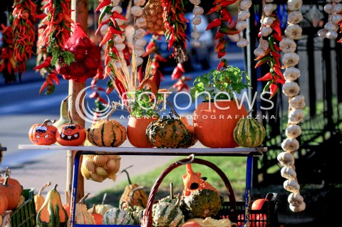  29.10.2017 LESZNOWOLA <br />PRZYDROZNA SPRZEDAZ PLODOW ROLNYCH PRZEZ ROLNIKOW <br />ZDJECIE ILUSTRACYJNE <br />N/Z WYSTAWIONE NA SPRZEDAZ KOLOROWE DYNIE PAPRYKA CZOSNEK I SWOJSKA KAPUSTA<br /> 