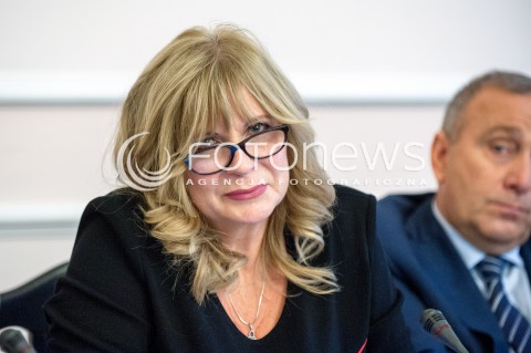  08.11.2017 WARSZAWA SEJM<br />POSIEDZENIE WSPOLNE KOMISJI SPRAW ZAGRANICZNYCH I KOMISJI USTAWODAWCZEJ<br />N/Z MALGORZATA GOSIEWSKA<br /> 