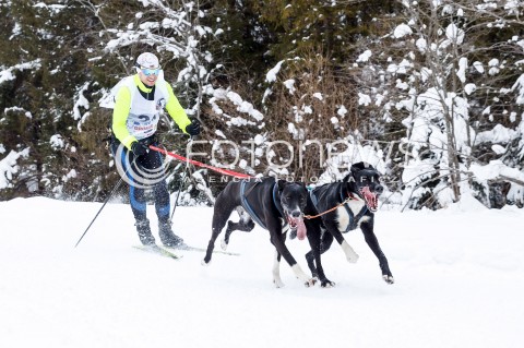  16.02.2018 LUTOWISKA BIESZCZADY <br />WYSCIGI PSICH ZAPRZEGOW " W KRAINIE WILKA " W BIESZCZADACH <br />N/Z PSI ZAPRZEG <br /> 