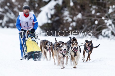  16.02.2018 LUTOWISKA BIESZCZADY <br />WYSCIGI PSICH ZAPRZEGOW " W KRAINIE WILKA " W BIESZCZADACH <br />N/Z PSI ZAPRZEG <br /> 