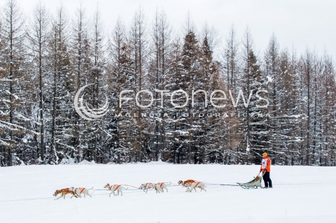  16.02.2018 LUTOWISKA BIESZCZADY <br />WYSCIGI PSICH ZAPRZEGOW " W KRAINIE WILKA " W BIESZCZADACH <br />N/Z PSI ZAPRZEG <br /> 