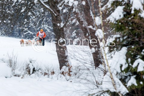  16.02.2018 LUTOWISKA BIESZCZADY <br />WYSCIGI PSICH ZAPRZEGOW " W KRAINIE WILKA " W BIESZCZADACH <br />N/Z PSI ZAPRZEG <br /> 