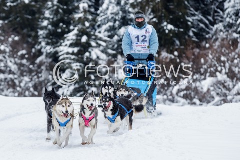  16.02.2018 LUTOWISKA BIESZCZADY <br />WYSCIGI PSICH ZAPRZEGOW " W KRAINIE WILKA " W BIESZCZADACH <br />N/Z PSI ZAPRZEG <br /> 