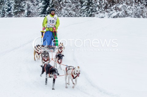  16.02.2018 LUTOWISKA BIESZCZADY <br />WYSCIGI PSICH ZAPRZEGOW " W KRAINIE WILKA " W BIESZCZADACH <br />N/Z PSI ZAPRZEG <br /> 