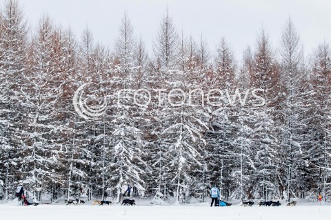  16.02.2018 LUTOWISKA BIESZCZADY <br />WYSCIGI PSICH ZAPRZEGOW " W KRAINIE WILKA " W BIESZCZADACH <br />N/Z PSI ZAPRZEG <br /> 