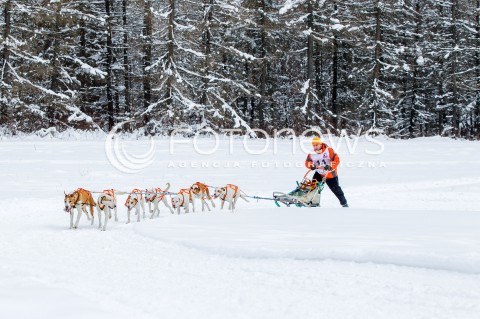  16.02.2018 LUTOWISKA BIESZCZADY <br />WYSCIGI PSICH ZAPRZEGOW " W KRAINIE WILKA " W BIESZCZADACH <br />N/Z PSI ZAPRZEG <br /> 