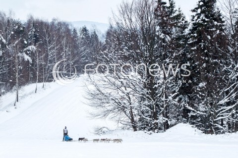  16.02.2018 LUTOWISKA BIESZCZADY <br />WYSCIGI PSICH ZAPRZEGOW " W KRAINIE WILKA " W BIESZCZADACH <br />N/Z PSI ZAPRZEG <br /> 