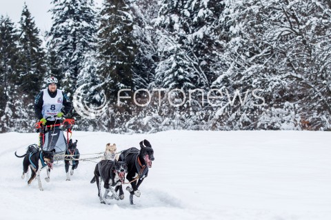  16.02.2018 LUTOWISKA BIESZCZADY <br />WYSCIGI PSICH ZAPRZEGOW " W KRAINIE WILKA " W BIESZCZADACH <br />N/Z PSI ZAPRZEG <br /> 