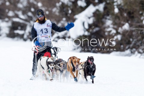 16.02.2018 LUTOWISKA BIESZCZADY <br />WYSCIGI PSICH ZAPRZEGOW " W KRAINIE WILKA " W BIESZCZADACH <br />N/Z PSI ZAPRZEG <br /> 