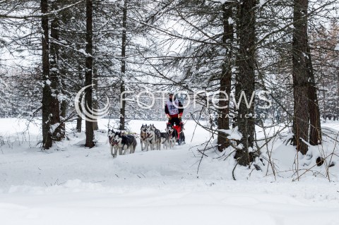  16.02.2018 LUTOWISKA BIESZCZADY <br />WYSCIGI PSICH ZAPRZEGOW " W KRAINIE WILKA " W BIESZCZADACH <br />N/Z PSI ZAPRZEG <br /> 