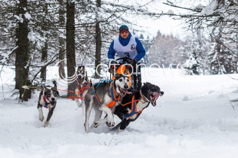  16.02.2018 LUTOWISKA BIESZCZADY <br />WYSCIGI PSICH ZAPRZEGOW " W KRAINIE WILKA " W BIESZCZADACH <br />N/Z PSI ZAPRZEG <br /> 