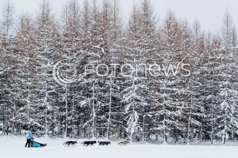  16.02.2018 LUTOWISKA BIESZCZADY <br />WYSCIGI PSICH ZAPRZEGOW " W KRAINIE WILKA " W BIESZCZADACH <br />N/Z PSI ZAPRZEG <br /> 