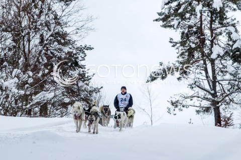  16.02.2018 LUTOWISKA BIESZCZADY <br />WYSCIGI PSICH ZAPRZEGOW " W KRAINIE WILKA " W BIESZCZADACH <br />N/Z PSI ZAPRZEG <br /> 