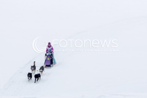  16.02.2018 LUTOWISKA BIESZCZADY <br />WYSCIGI PSICH ZAPRZEGOW " W KRAINIE WILKA " W BIESZCZADACH <br />N/Z PSI ZAPRZEG <br /> 