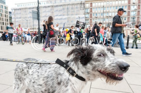  25.08.2018 WARSZAWA<br />MARSZ NA RZECZ PRAW ZWIERZAT<br />N/Z PIES UCZESTNICY WYDARZENIA Z TRANSPARENTAMI I FLAGAMI<br /> 