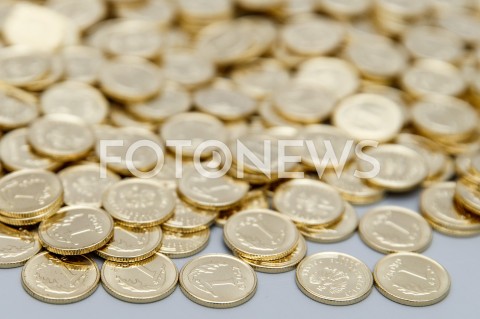  20.11.2018 RZESZOW <br />ZDJECIE ILUSTRACYJNE <br />MONETY 1 GROSZOWE<br />N/Z GORA PIENIEDZY<br /> 