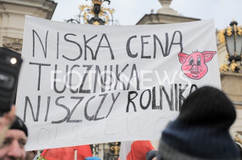  06.02.2019 WARSZAWA<br />PROTEST ROLNIKOW POD PALACEM PREZYDENCKIM<br />N/Z PROTESTUJACY<br /> 
