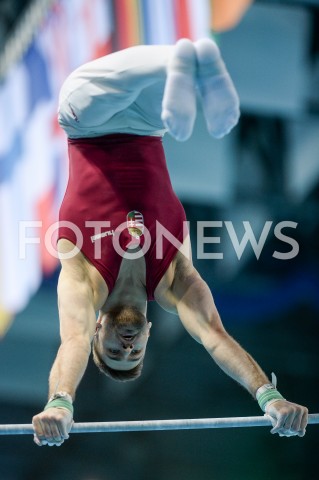  10.04.2019 SZCZECIN<br />
8. MISTRZOSTWA EUROPY W GIMNASTYCE SPORTOWEJ KOBIET I MEZCZYZN<br />
DZIEN 1 - KWALIFIKACJE MEZCZYZN<br />
8th European Championships in Artistic Gymnastics<br />
Day 1 - Men Qualifications<br />
N/Z DAVID VERCERNYES<br />
 