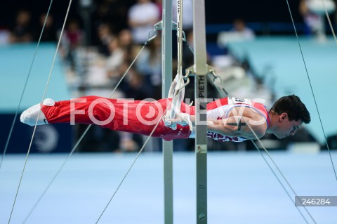  12.04.2019 SZCZECIN<br />
8. MISTRZOSTWA EUROPY W GIMNASTYCE SPORTOWEJ KOBIET I MEZCZYZN<br />
DZIEN 3 - FINAL WIELOBOJU MEZCZYZN<br />
8th European Championships in Artistic Gymnastics<br />
Day 3 - Men's All Around Final<br />
N/Z ARTUR DALALOYAN (RUS)<br />
 