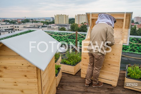  04.08.2020 RZESZOW <br />
W CENTRUM RZESZOWA POWSTALA PIERWSZA MIEJSKA PASIEKA NA DACHU GALERII RZESZOW. PASIEKA LICZY 5 RODZIN PSZCZELICH TJ. NAWET POL MILIONA PSZCZOL <br />
N/Z PASIEKA PSZCZELARZ<br />
 