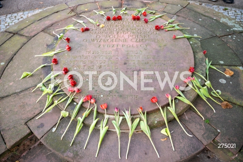  27.10.2022 WARSZAWA<br />
UROCZYSTOSC SADZENIA 3 TYS. CEBULEK TULIPANOW IRENA SENDLER<br />
N/Z MALY POMNIK BOHATEROW GETTA PRZED MUZEUM POLIN<br />
FOT. MARCIN BANASZKIEWICZ/FOTONEWS  