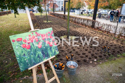  27.10.2022 WARSZAWA<br />
UROCZYSTOSC SADZENIA 3 TYS. CEBULEK TULIPANOW IRENA SENDLER<br />
N/Z SKWER IRENY SENDLER SADZONKI<br />
FOT. MARCIN BANASZKIEWICZ/FOTONEWS  