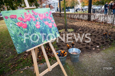  27.10.2022 WARSZAWA<br />
UROCZYSTOSC SADZENIA 3 TYS. CEBULEK TULIPANOW IRENA SENDLER<br />
N/Z SKWER IRENY SENDLER SADZONKI<br />
FOT. MARCIN BANASZKIEWICZ/FOTONEWS  