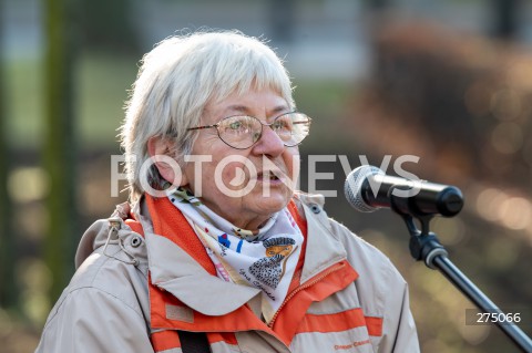  27.10.2022 WARSZAWA<br />
UROCZYSTOSC SADZENIA 3 TYS. CEBULEK TULIPANOW IRENA SENDLER<br />
N/Z JANINA ZGRZEMBSKA<br />
FOT. MARCIN BANASZKIEWICZ/FOTONEWS  