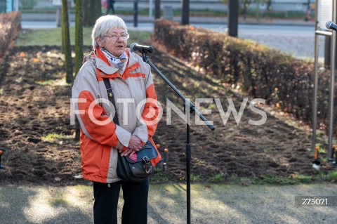  27.10.2022 WARSZAWA<br />
UROCZYSTOSC SADZENIA 3 TYS. CEBULEK TULIPANOW IRENA SENDLER<br />
N/Z JANINA ZGRZEMBSKA<br />
FOT. MARCIN BANASZKIEWICZ/FOTONEWS  