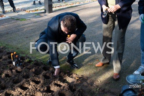  27.10.2022 WARSZAWA<br />
UROCZYSTOSC SADZENIA 3 TYS. CEBULEK TULIPANOW IRENA SENDLER<br />
N/Z RAFAL TRZASKOWSKI<br />
FOT. MARCIN BANASZKIEWICZ/FOTONEWS  