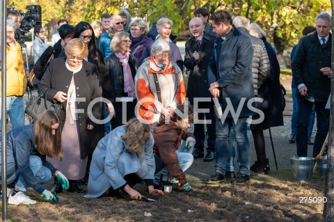  27.10.2022 WARSZAWA<br />
UROCZYSTOSC SADZENIA 3 TYS. CEBULEK TULIPANOW IRENA SENDLER<br />
N/Z JANINA ZGRZEMBSKA EWA MALINOWSKA GRUPINSKA RAFAL TRZASKOWSKI<br />
FOT. MARCIN BANASZKIEWICZ/FOTONEWS  