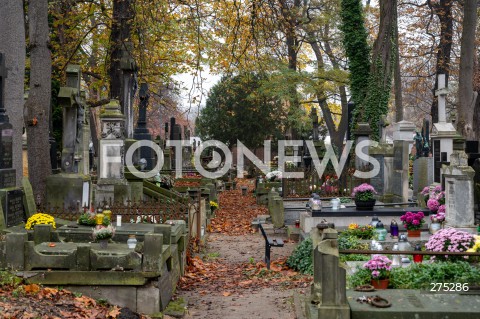  01.11.2022 WARSZAWA<br />
DZIEN WSZYSTKICH SWIETYCH<br />
CMENTARZ POWAZKOWSKI<br />
N/Z CMENTARZ ALEJKA CMENTARNA<br />
FOT. MARCIN BANASZKIEWICZ/FOTONEWS  