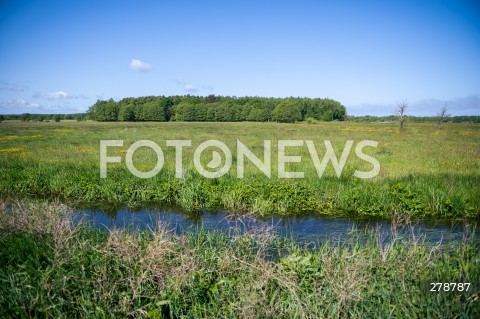  29.05.2023 SLAJSZEWO<br />
OKOLICA PLANOWANEJ ELEKTROWNI ATOMOWEJ W GMINIE CHOCZEWO<br />
N/Z TERENY PRZY MIEJSCU PLANOWANEJ INWESTYCJI ELEKTROWNI ATOMOWEJ<br />
 