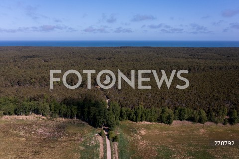  29.05.2023 SLAJSZEWO<br />
OKOLICA PLANOWANEJ ELEKTROWNI ATOMOWEJ W GMINIE CHOCZEWO<br />
N/Z LAS PRZY MIEJSCU PLANOWANEJ INWESTYCJI ELEKTROWNI ATOMOWEJ W SLAJSZEWIE<br />
 