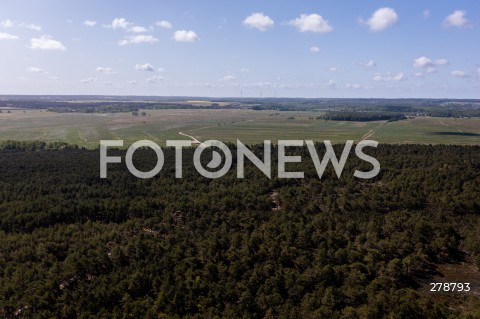  29.05.2023 SLAJSZEWO<br />
OKOLICA PLANOWANEJ ELEKTROWNI ATOMOWEJ W GMINIE CHOCZEWO<br />
N/Z LAS PRZY MIEJSCU PLANOWANEJ INWESTYCJI ELEKTROWNI ATOMOWEJ W SLAJSZEWIE<br />
 