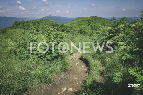  25.06.2023 BIESZCZADY <br />
BIESZCZADZKI PARK NARODOWY <br />
N/Z BIESZCZADY <br />
 