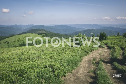  25.06.2023 BIESZCZADY <br />
BIESZCZADZKI PARK NARODOWY <br />
N/Z BIESZCZADY <br />
 