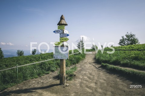  25.06.2023 BIESZCZADY <br />
BIESZCZADZKI PARK NARODOWY <br />
N/Z BIESZCZADY <br />
 