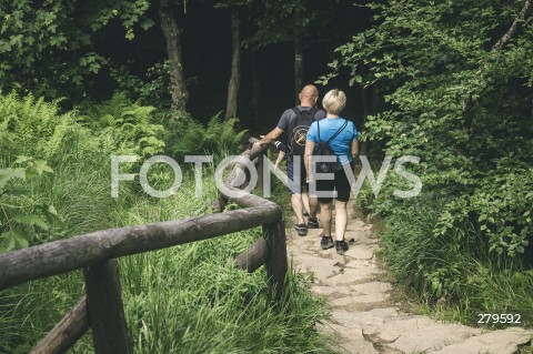  25.06.2023 BIESZCZADY <br />
BIESZCZADZKI PARK NARODOWY <br />
N/Z BIESZCZADY <br />
 