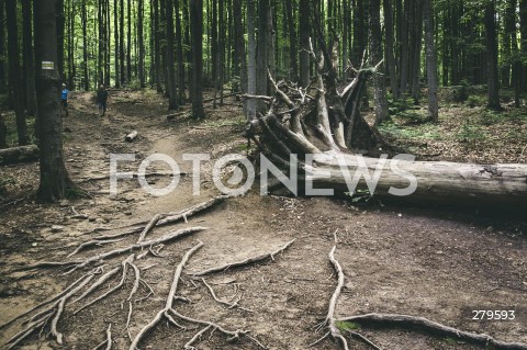  25.06.2023 BIESZCZADY <br />
BIESZCZADZKI PARK NARODOWY <br />
N/Z BIESZCZADY <br />
 