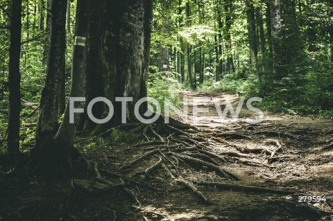  25.06.2023 BIESZCZADY <br />
BIESZCZADZKI PARK NARODOWY <br />
N/Z BIESZCZADY <br />
 