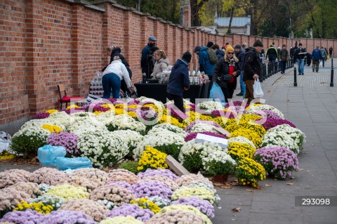  01.11.2024 WARSZAWA<br />
DZIEN WSZYSTKICH SWIETYCH<br />
N/Z CMENTARZ POWAZKOWSKI CHRYZANTEMY<br />
FOT. MARCIN BANASZKIEWICZ/FOTONEWS  