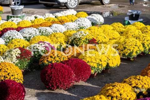  31.10.2025 WARSZAWA<br />
CMENTARZ TARCHOMINSKI<br />
N/Z CHRYZANTEMY<br />
FOT. MARCIN BANASZKIEWICZ / FOTONEWS  